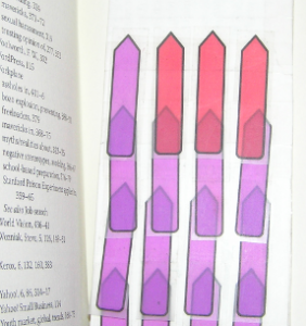 Flags on bookmark