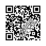 QR bar code for MountainBelle.com QR bar code for MountainBelle.com